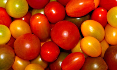 7 popüler domates çeşidi ve yemeklerde kullanım alanları