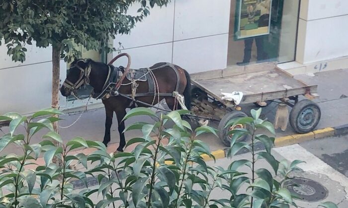 At arabasını kaldırıma park eden kişiye 132 lira ceza