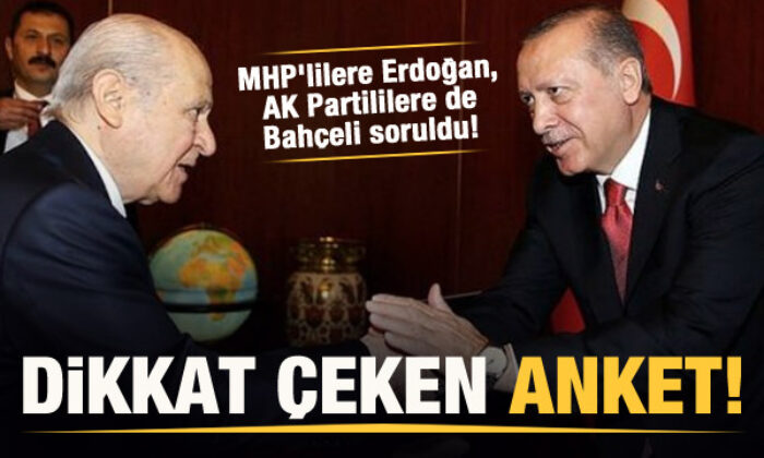 Dikkat çeken anket! MHP’lilere Erdoğan’ı, AK Partililere de Bahçeli’yi sordular