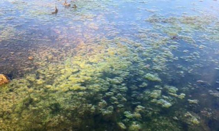 Eğirdir ve Beyşehir’de ‘dip suyu’ alarmı!