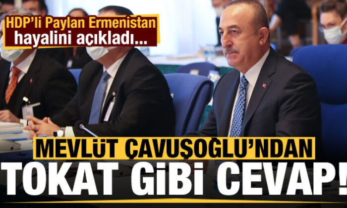 HDP’li Paylan’ın Ermenistan hayali sonrası Çavuşoğlu’ndan tokat gibi cevap!
