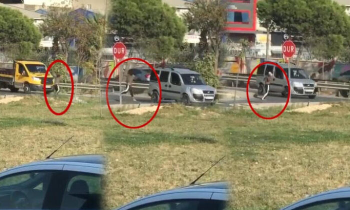 Neden yaptığı bilinmiyor! İnsanların canını hiçe saydı