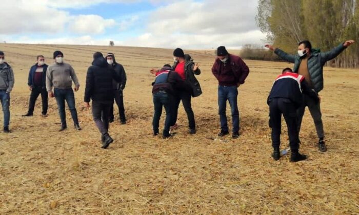 Yozgat’ta köpek dövüşü organize ettikleri iddiasıyla 8 şüpheli yakalandı