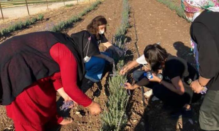 Batman’da ‘yetişmez’ denildi! Üreticiler sıraya girdi