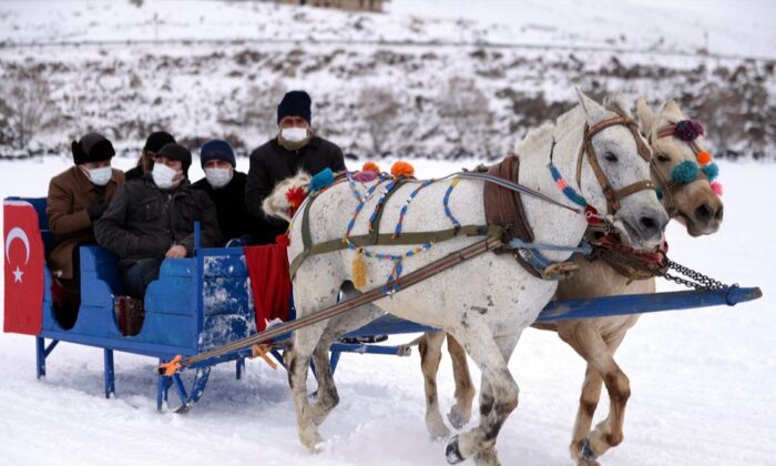 Buz tutan Çıldır Gölü’nde atlı kızak ve Eskimo usulü balık avı etkinliği