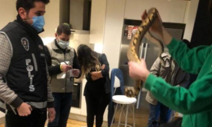 İstanbul’da ticareti yasaklanan hayvan operasyonu