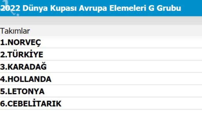 A Milli Takımımızın grubunda son durum