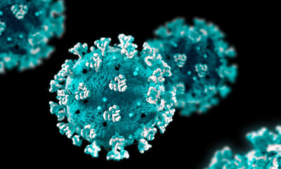 Bitlis Güroymak’ta İngiltere varyantı tespit edildi! Köy karantinaya alındı