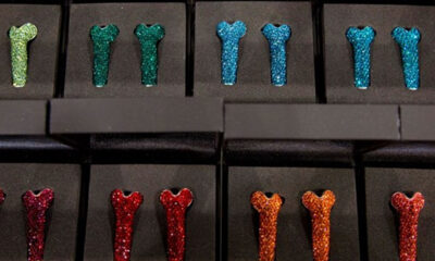 Google’ın sıra dışı projesi sızdı! İnsanüstü seviyelere çıkaracak