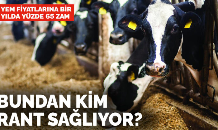 Yem fiyatlarına bir yılda yüzde 65 zam! Bundan kim rant sağlıyor?