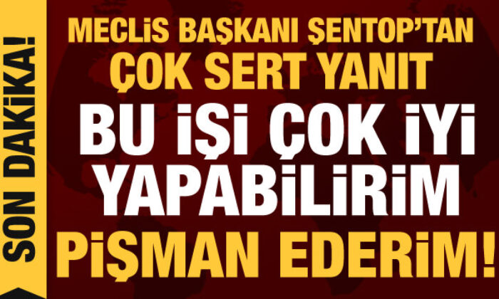 Meclis Başkanı Şentop’tan önemli açıklamalar