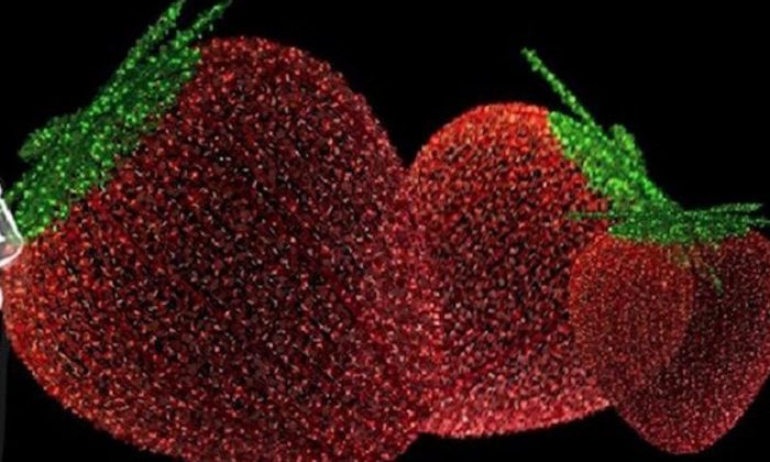 318 milyon borcu var çilekli süsleme yapıyor
