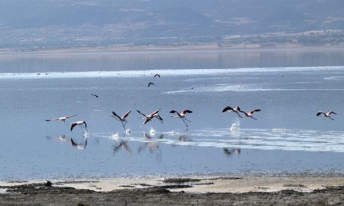 Burdur Gölü’ndeki kuraklığa karşı güneş panelleri kullanılacak