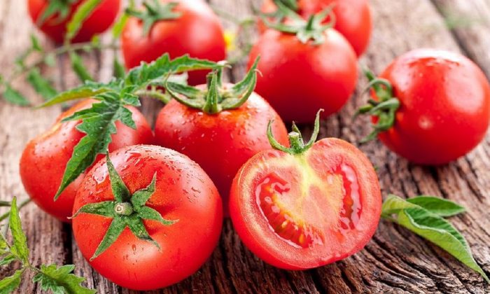 Çürüyen domatesleri sakın çöpe atmayın! Konserve, salça, maske, fide…