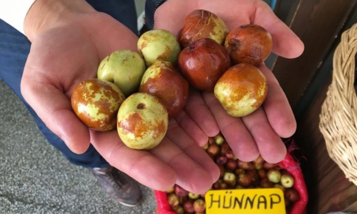Eskişehir’de sezonu başlayan hünnapa ilgi yoğun