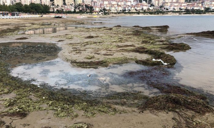 Isparta’da bulunan Eğirdir Gölü’nde lağım borusu patladı