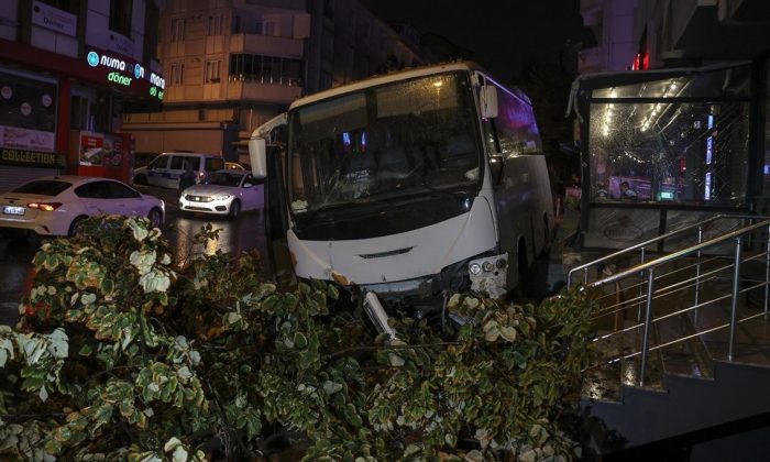 Kaldırıma çıkan midibisün altında can verdi