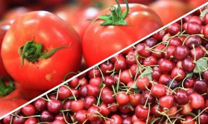 Meyve sebze ihracatında şampiyon kiraz ve domates
