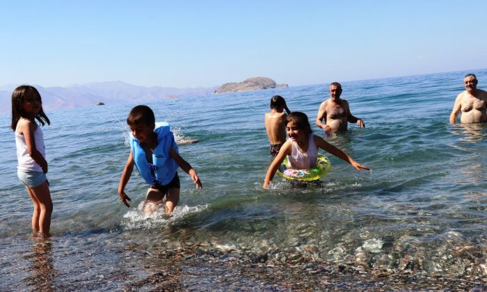 Van Gölü’nde yüzme keyfi sürüyor