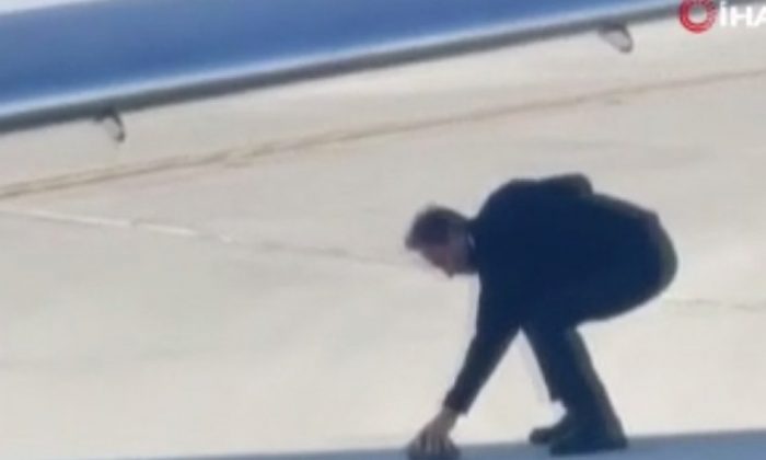 Duyarlı pilot, pistte gördüğü kaplumbağanın hayatını kurtardı