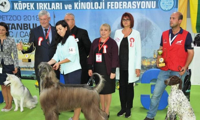 Evcil hayvan ürünleri milyar dolara koşuyor