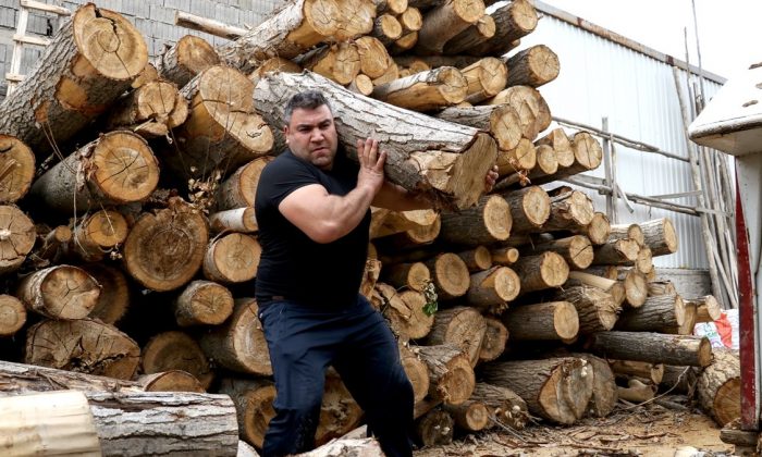 Milli sporcu tomruk taşıyarak şampiyonaya hazırlanıyor