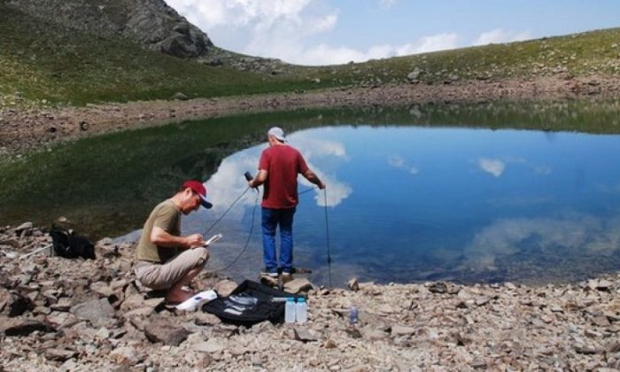 Türkiye’de 41 yeni alg türü bulundu