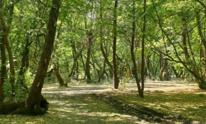 Afyonkarahisar’da ormanlık alanlara giriş yasaklandı