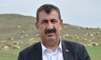 TÜDKİYEB Genel Başkanı Çelik: Çoban kardeşimize yapılan şiddet asla kabul edilemez